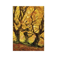 Kép 12/13 - Trees falinaptár - 2027