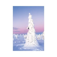 Kép 13/13 - Trees falinaptár - 2027
