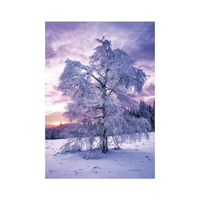 Kép 3/13 - Trees falinaptár - 2027