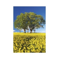 Kép 6/13 - Trees falinaptár - 2027