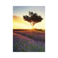 Kép 12/13 - Provence falinaptár - 2027