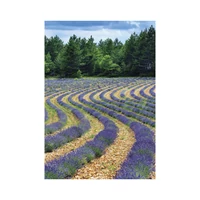 Kép 5/13 - Provence falinaptár - 2027