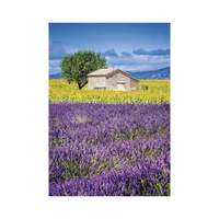 Kép 6/13 - Provence falinaptár - 2027