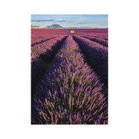 Kép 7/13 - Provence falinaptár - 2027