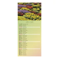 Kép 8/13 - Gardens falinaptár - 2027