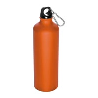Kép 1/3 - Nagy ivópalack karabinerrel, 800 ml, narancssárga
