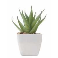 Kép 2/4 - ARTILOE Mini műnövény, aloe ferox mill, fehér