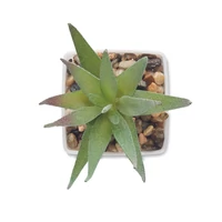 Kép 3/4 - ARTILOE Mini műnövény, aloe ferox mill, fehér