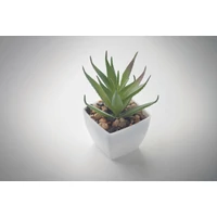 Kép 4/4 - ARTILOE Mini műnövény, aloe ferox mill, fehér