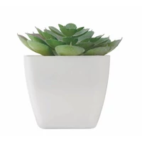 Kép 2/5 - ARTIECHE Mini műnövény, echeveria, fehér