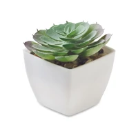 Kép 1/5 - ARTIECHE Mini műnövény, echeveria, fehér