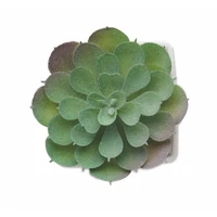Kép 3/5 - ARTIECHE Mini műnövény, echeveria, fehér