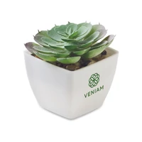 Kép 4/5 - ARTIECHE Mini műnövény, echeveria, fehér