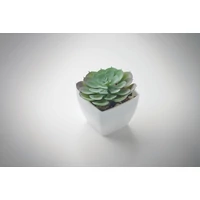 Kép 5/5 - ARTIECHE Mini műnövény, echeveria, fehér
