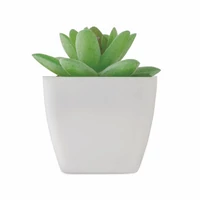 Kép 2/5 - ARTIGRAP Mini műnövény, graptopetalum, fehér