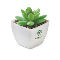 Kép 4/5 - ARTIGRAP Mini műnövény, graptopetalum, fehér