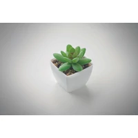 Kép 5/5 - ARTIGRAP Mini műnövény, graptopetalum, fehér