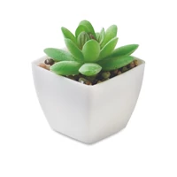 Kép 1/5 - ARTIGRAP Mini műnövény, graptopetalum, fehér