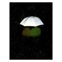 Kép 6/6 - REFLECTIVE golf esernyő, ezüst