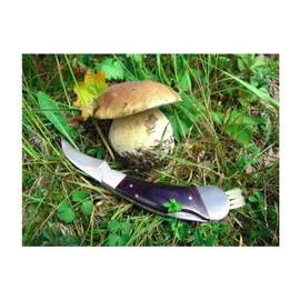 PILZ gombázó kés, vegyes