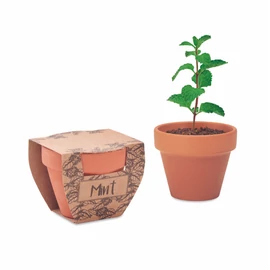 MINT POT Terrakotta ültető, menta, fa