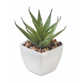 ARTILOE Mini műnövény, aloe ferox mill, fehér