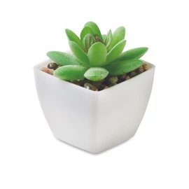 ARTIGRAP Mini műnövény, graptopetalum, fehér