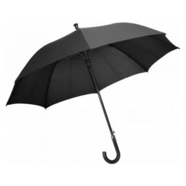 Charles Dickens esernyő