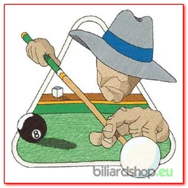 POOL STICKS