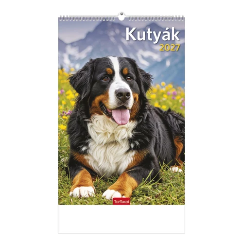 Kutyák falinaptár - 2027