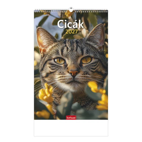 Cicák falinaptár - 2027