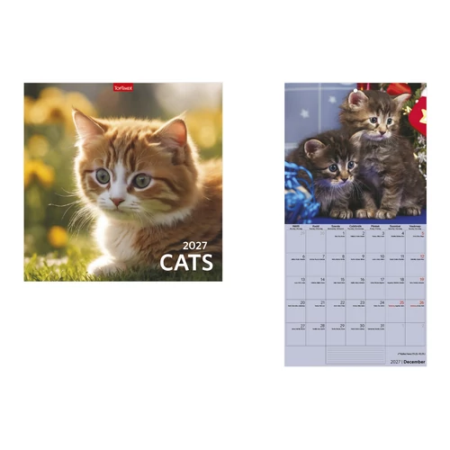 Cats falinaptár - 2027