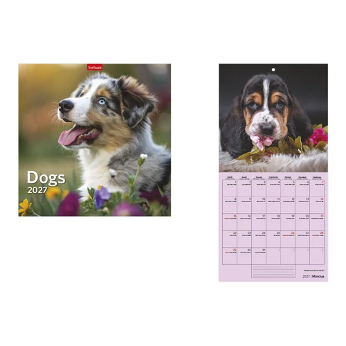 Dogs falinaptár - 2027